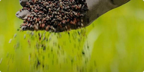 Fertilizantes